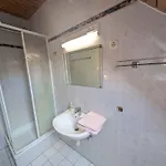 In 52058 * 佐洛卡罗斯